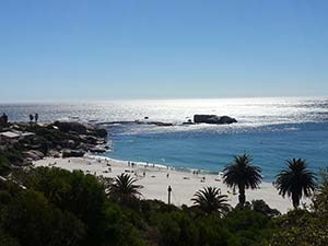 Portada de Ciudad Del Cabo 2013