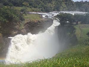 Portada de Murchison