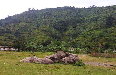 rwenzori