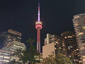 Portada de Toronto Y Niagara