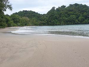 Portada de Manuel Antonio