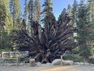 Parques Nacionales de EEUU