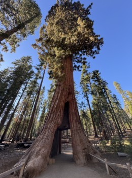 Parques Nacionales de EEUU