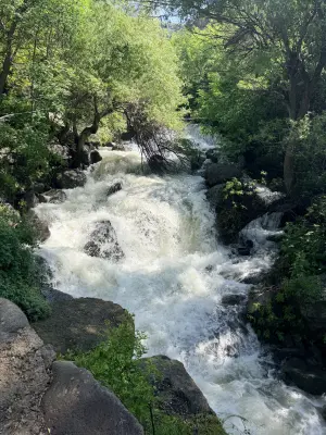 20260610_101258