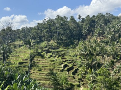 Bali