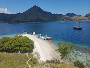 Portada de Isla De Flores