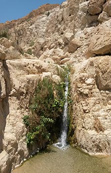 Masada y Ein Gedi