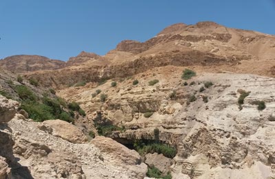 Masada y Ein Gedi