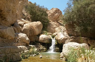 Masada y Ein Gedi