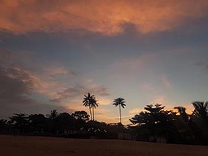 Portada de Koh Samui Koh Phangan Y Koh Tao 2018
