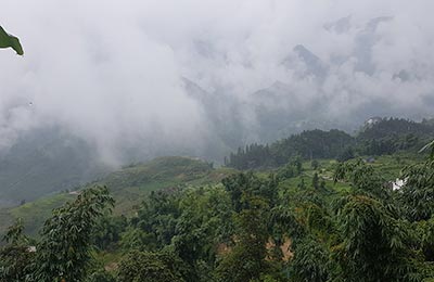 Sapa
