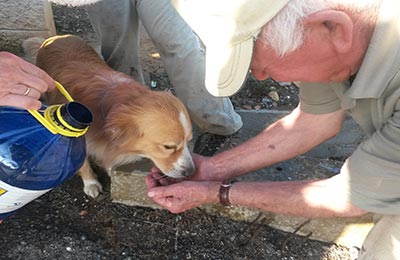 vendimia y mundial de ciclismo 