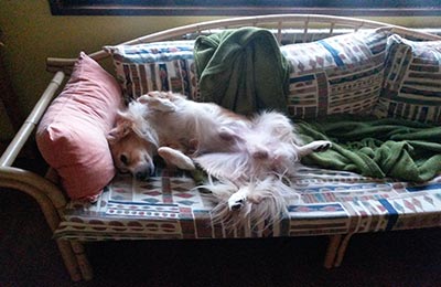 vendimia y mundial de ciclismo 