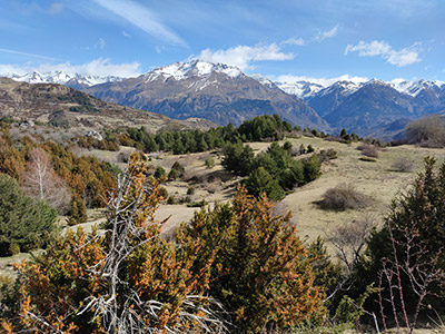 Panticosa