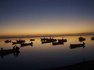 Portada de La Reunion