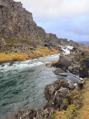 20261004_092048