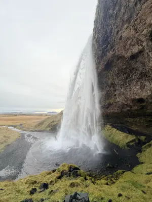 20261005_083352