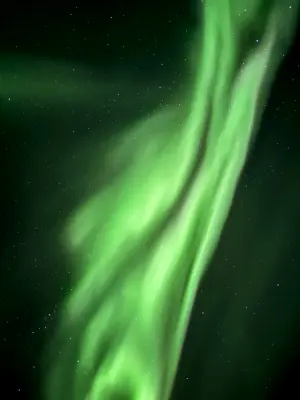 20261005_212950
