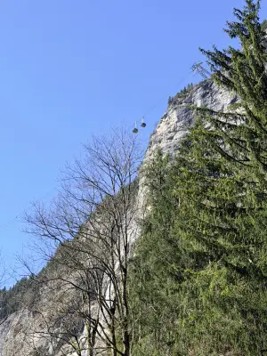 20260408_111409