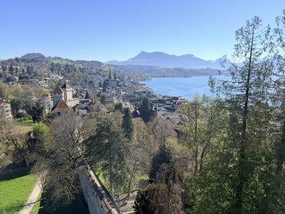 Lucerna