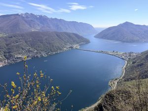 Portada de Lugano