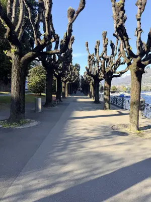 20260404_173837