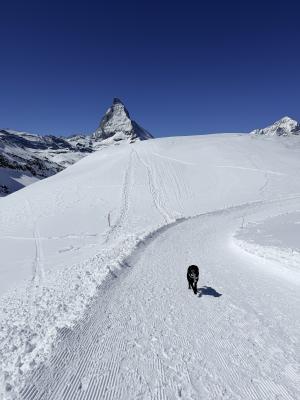 Zermatt