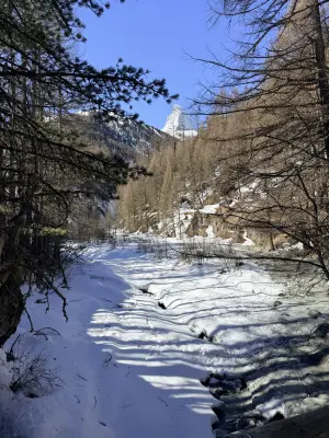 20260403_113349