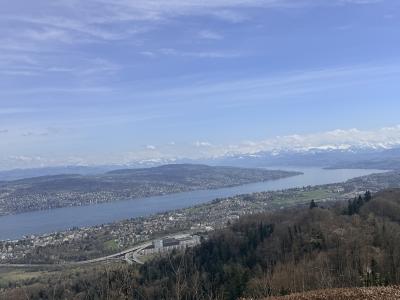 Zúrich