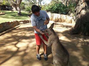 Portada de Australia