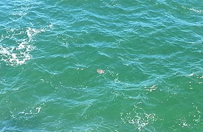 Australia Costa Oeste