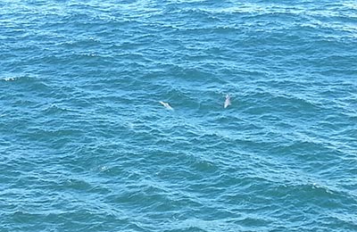 Australia Costa Oeste