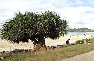 Australia Costa Oeste