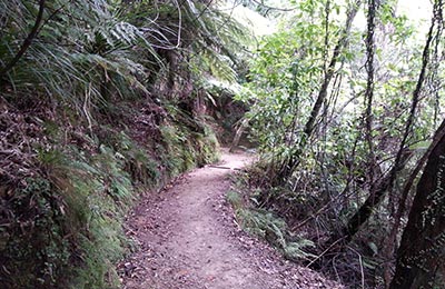 Abel NP y Punakaiki