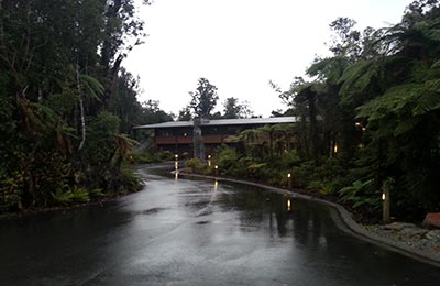 Franz Josef y Glaciar Fox