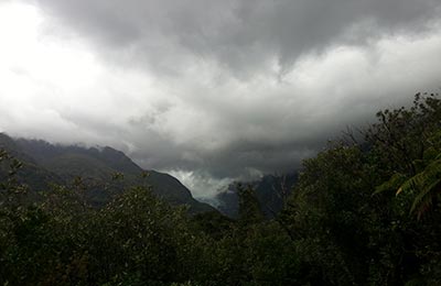 Franz Josef y Glaciar Fox