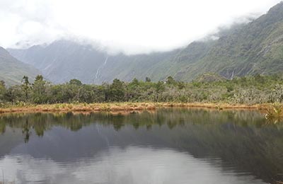 Franz Josef y Glaciar Fox