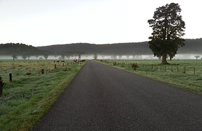 Franz Josef y Glaciar Fox