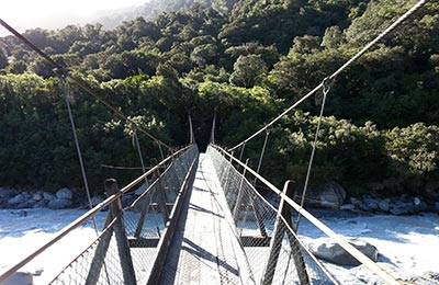 Franz Josef y Glaciar Fox