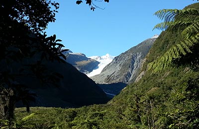 Franz Josef y Glaciar Fox