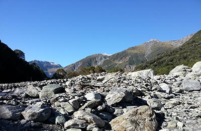 Franz Josef y Glaciar Fox