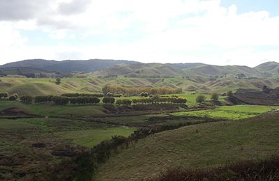 Rotoura y Tongariro NP