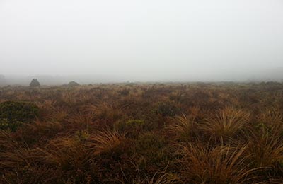 Rotoura y Tongariro NP