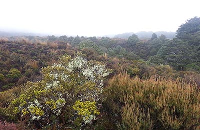 Rotoura y Tongariro NP