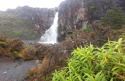 Rotoura y Tongariro NP